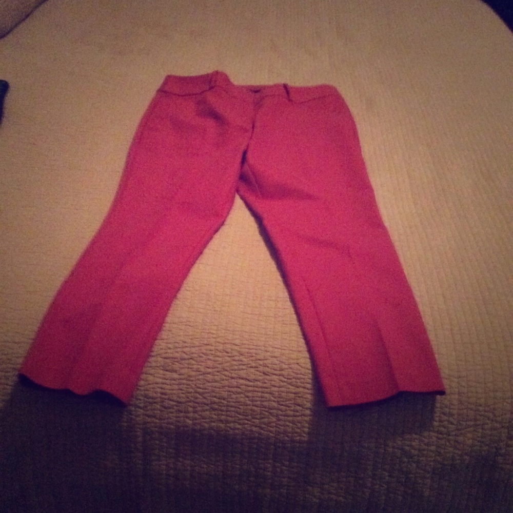 Loft ankle length pants